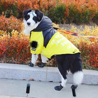 The Dog Face Windproof Waterproof Reflective Pet Cat Dog Jacket - BIG FRENCHIES