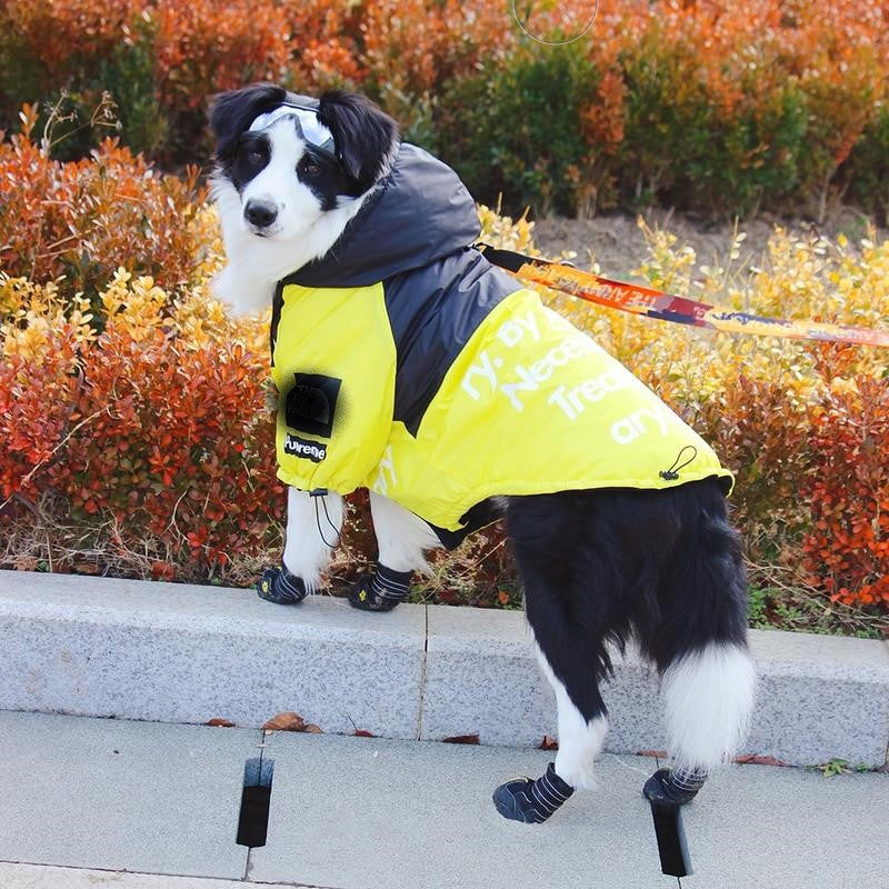 The Dog Face Windproof Waterproof Reflective Pet Cat Dog Jacket - BIG FRENCHIES