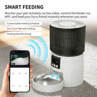 Only Self Pickup---Automatic Feeder