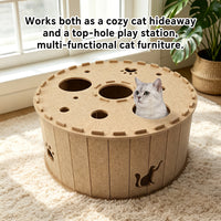 Tire Tunnel Cat Den