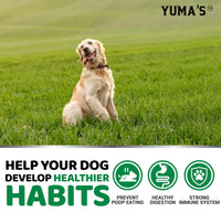 No Poo Chews for Dogs 170 Count Coprophagia Deterrent Probiotics