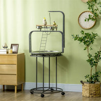 Parrot Stand /Parrot Perch