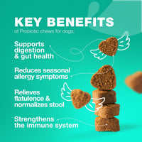 Probiotics for Dogs Digestive Enzymes Gut Health Pumpkin & Yeast Powder