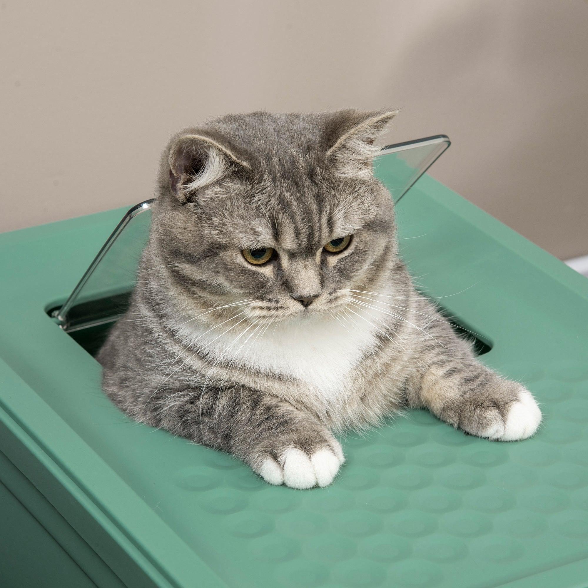 Fully Enclosed Cat Litter Box