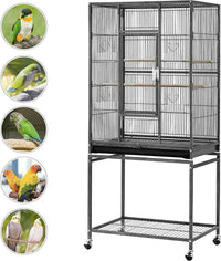 54-Inch Wrought Iron Standing for Large Parrot - BIG FRENCHIES