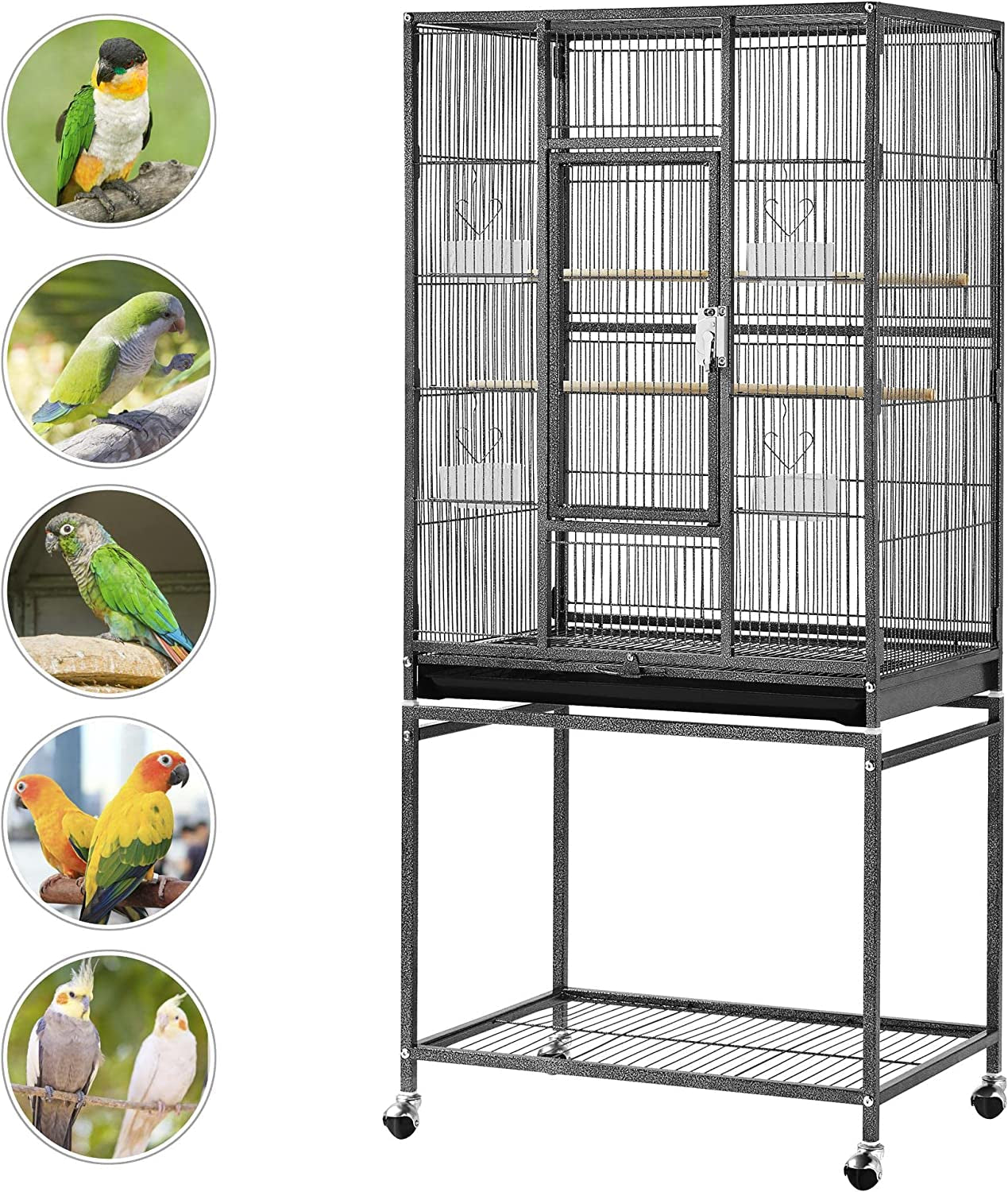 54-Inch Wrought Iron Standing for Large Parrot - BIG FRENCHIES