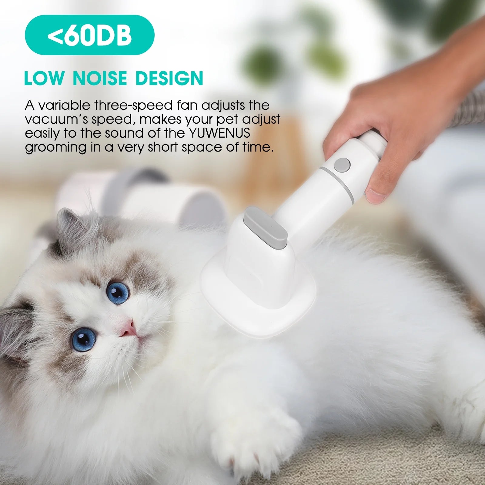 5 in 1 Pet Grooming Kit & Vacuum - BIG FRENCHIES