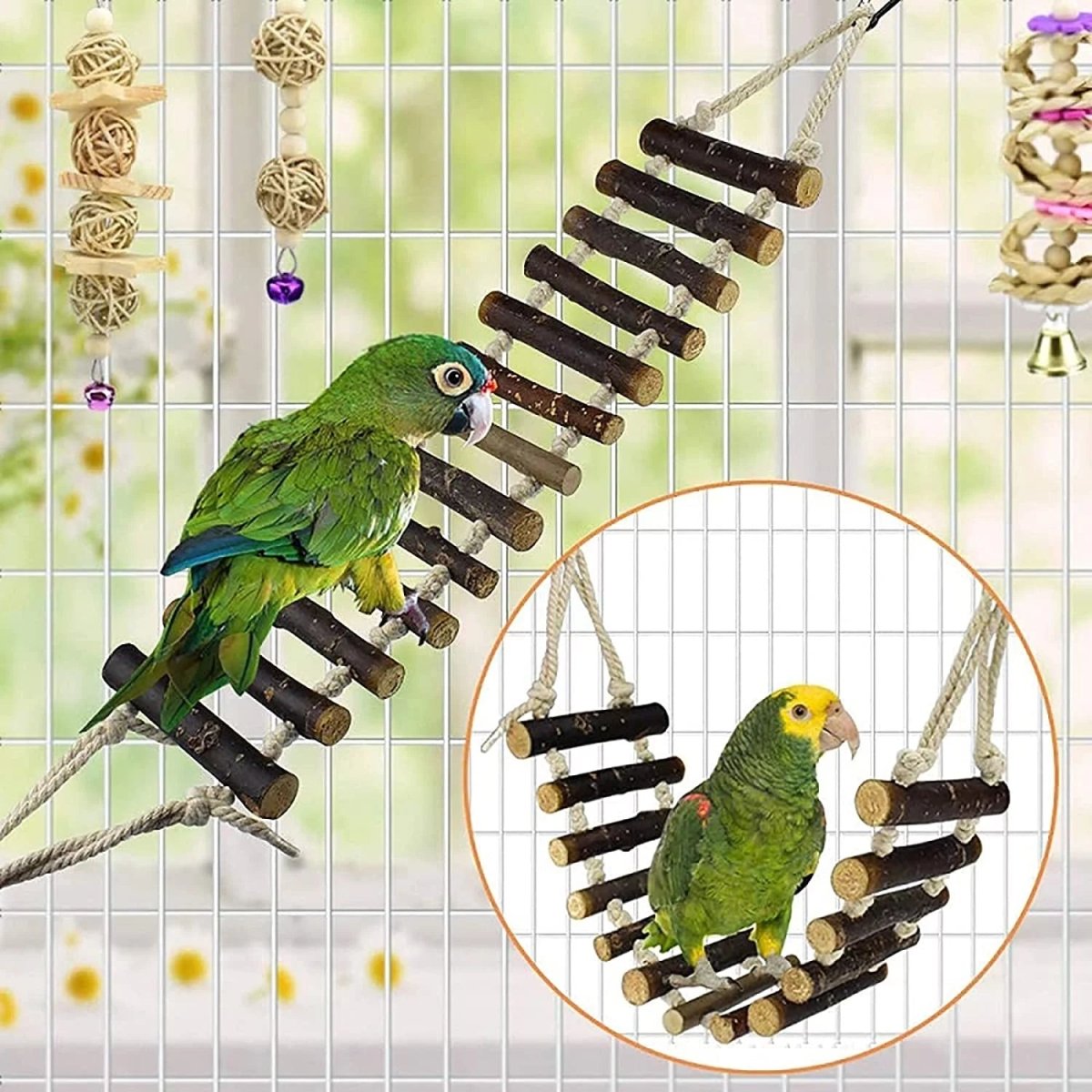 8 Pack Bird Toys for Cage Accessories - BIG FRENCHIES