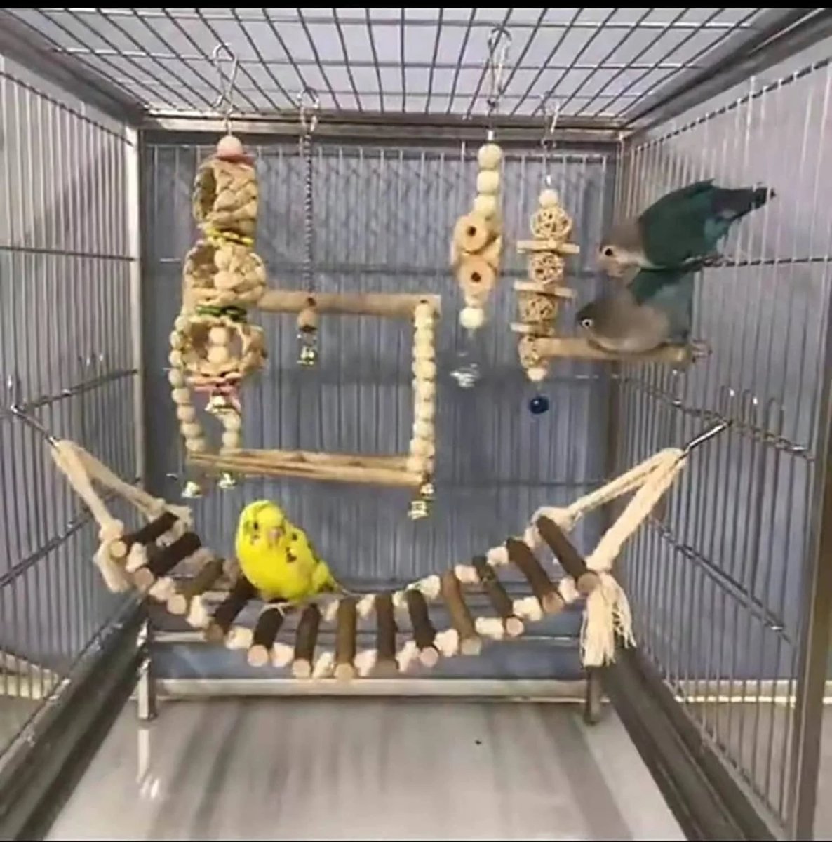 8 Pack Bird Toys for Cage Accessories - BIG FRENCHIES