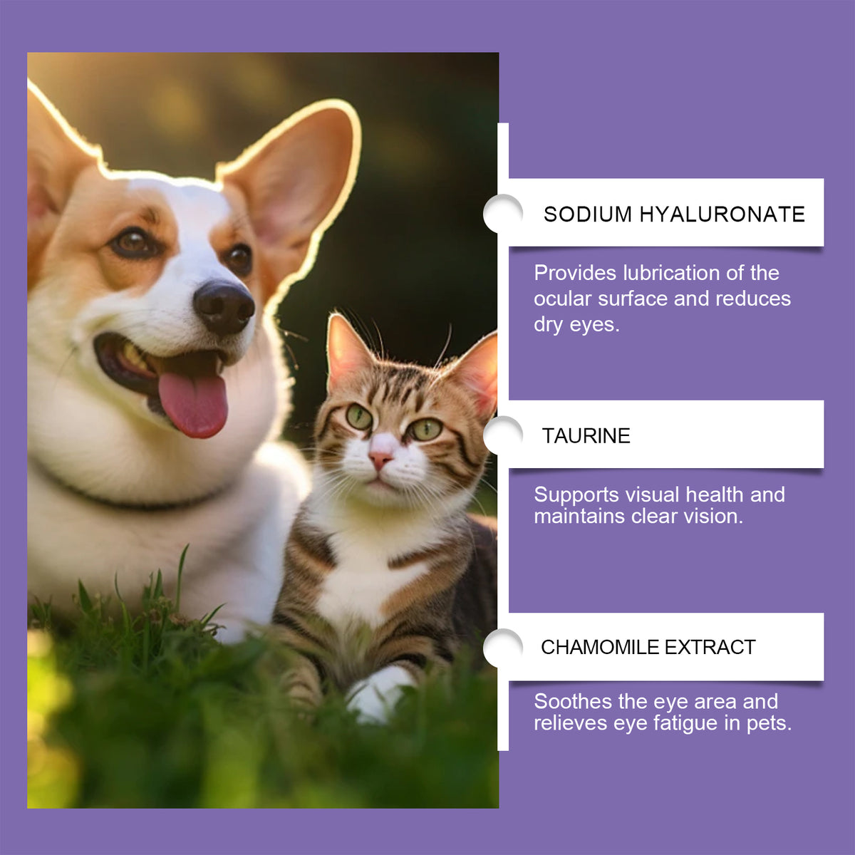Pet Eye Rinse For Dogs & Cats, Gentle Eye Cleaner Solution With Hyaluronic Acid, Honeysuckle Extract & Taurine, Tear Sta