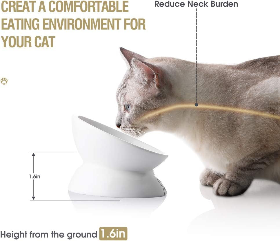 Ceramic Raised Cat Bowls - BIG FRENCHIES