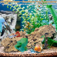 PINVNBY Natural Driftwood for Aquarium Decor Fish Tank Decorations - L:Honeycomb wood (7.87- 11.8 inches/3 Pack) - image 3