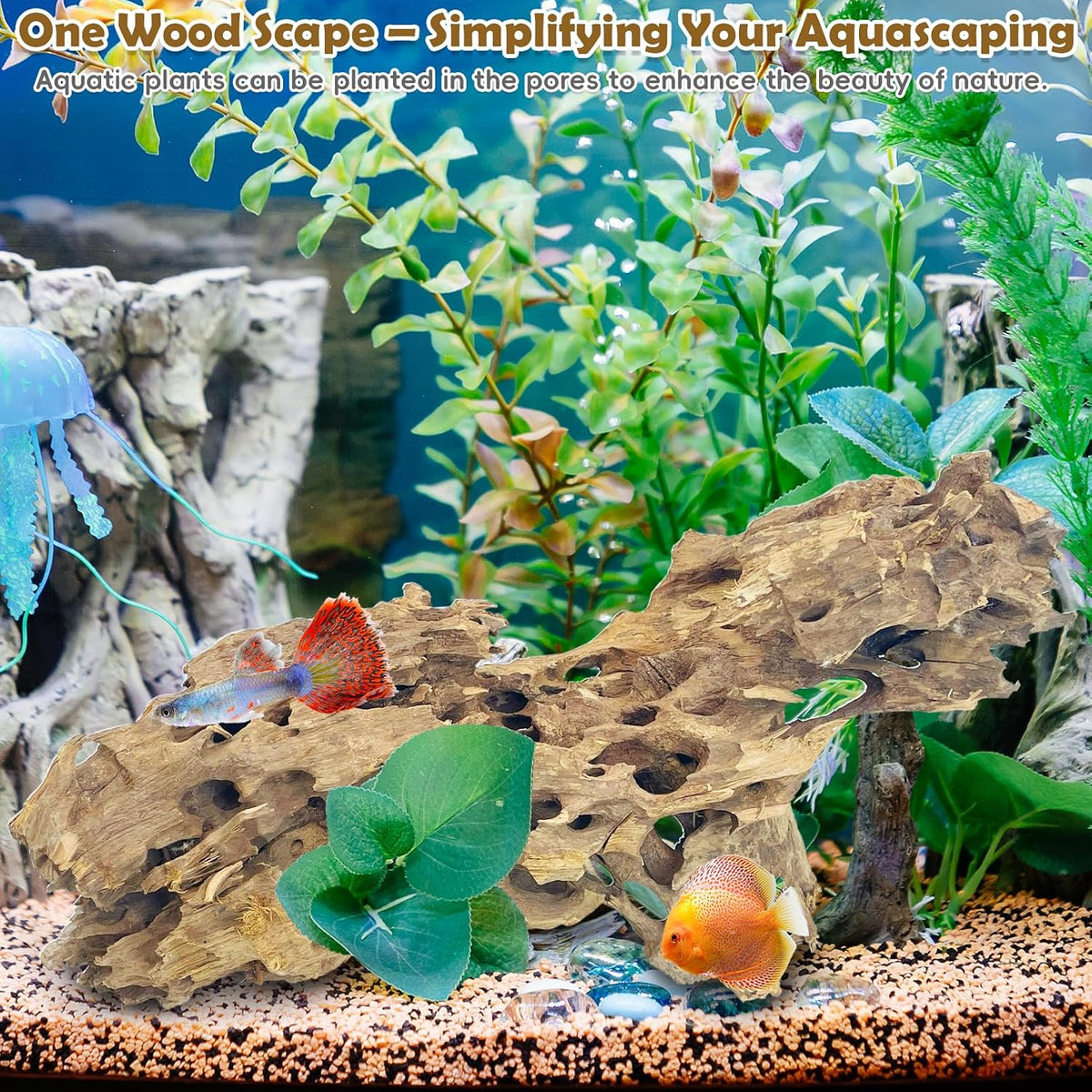 PINVNBY Natural Driftwood for Aquarium Decor Fish Tank Decorations - L:Honeycomb wood (7.87- 11.8 inches/3 Pack) - image 3
