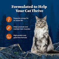 Blue Buffalo Wilderness Wild Delights Meaty Morsels Wet Cat Food, High-Protein & Grain-Free, Made with Natural Ingredients, Chicken & Turkey Recipe in Tasty Gravy, 3-oz. Cans (24 Count)