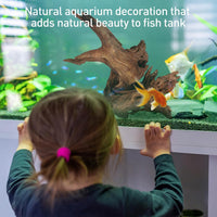 WDEFUN 3 PCS Natural Driftwood for Aquarium Decor Fish Tank - Mopani driftwood （13-17 inch pack of 1） - image 4