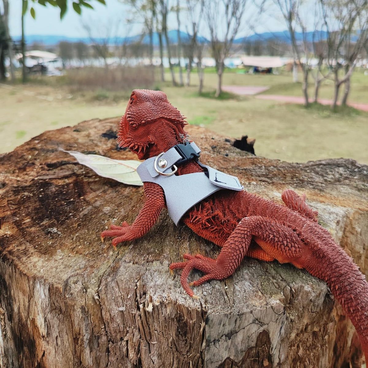 SEZDEKI 3 pack grey leather bearded dragon harness set with retractable leash - view 4