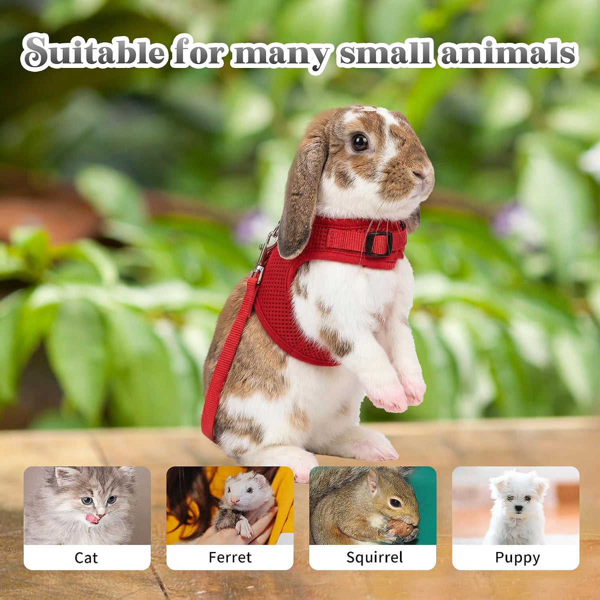 Breathable Bunny Harness and Leash Set with Cute Bow, Black S – Essentials for Small Pets - S / Red - image 3