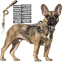Tactical Dog Harness and Leash Set with 10 Patches for Large Dogs – Essentials for Dogs - Medium / Desert Camo