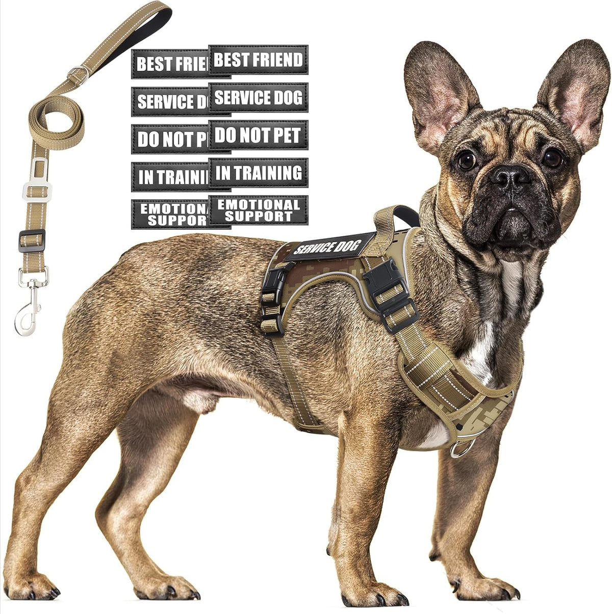 Tactical Dog Harness and Leash Set with 10 Patches for Large Dogs – Essentials for Dogs - Medium / Desert Camo