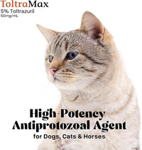 Toltrazuril 5.0% for Horses, Dogs, Cats, 500mL/16.9 Ounce, for Non-Food Chain Animals, Alfalfa