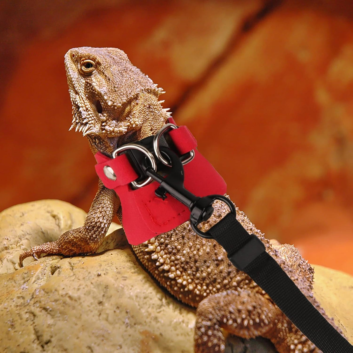 Bearded Dragon Harness Leash Set, 3 Size Lizard Harness - Red - image 2