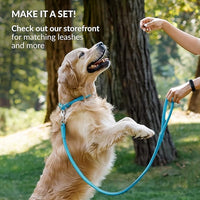 CollarDirect Rolled Leather Dog Collar, Soft Padded Round Puppy Collar, Handmade Genuine Leather Collar Dog Small Large Cat Collars 13 Colors (15-19 Inch, Light Blue)