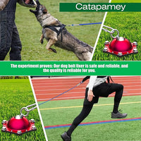 Dog Tie Out Cable and Stake for Yard,(up to 200lbs) 360°Swivel Dog Run Anchors- No Tangle,with 20FT Heavy Duty Tie Out Cable,Runner for Yard,Ideal for Outdoor Camping
