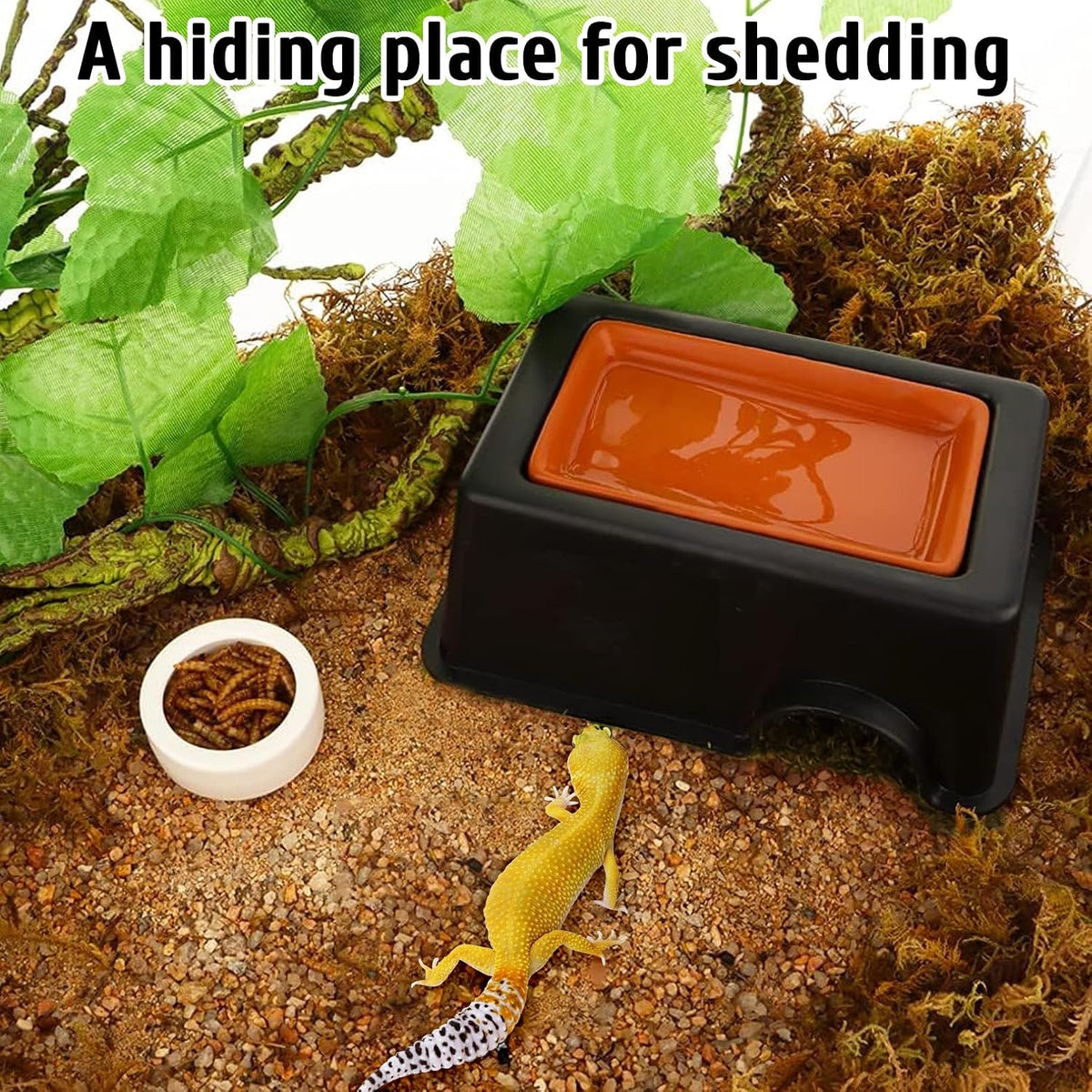 Leopard Gecko Humid Hide Reptiles Humidity Box – Essentials for Reptiles And Amphibians - Humidifying box-2Pack - image 3