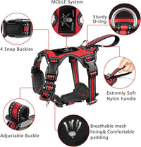 WINSEE Pet Harness Collar and Leash Set - X-Large / Red - image 3