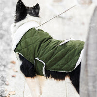 Dog Winter Coat for Cold Weather - Green / Medium - image 2
