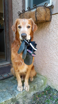All Weather Neoprene Paw Protector Dog Boots with Reflective Straps - Black / Medium - image 4