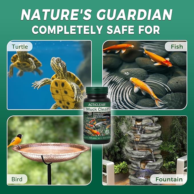 Muck Clear – Natural Pond Sludge Treatment, 250 Tablets for Ponds, Fountains & Bird Baths, Beneficial Bacteria & Enzymes, Chemical-Free & Safe for Fish, Pets & Wildlife