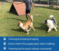 Interactive Flirt Pole Toy for Dogs Chase, Outdoor Exercise - image 3