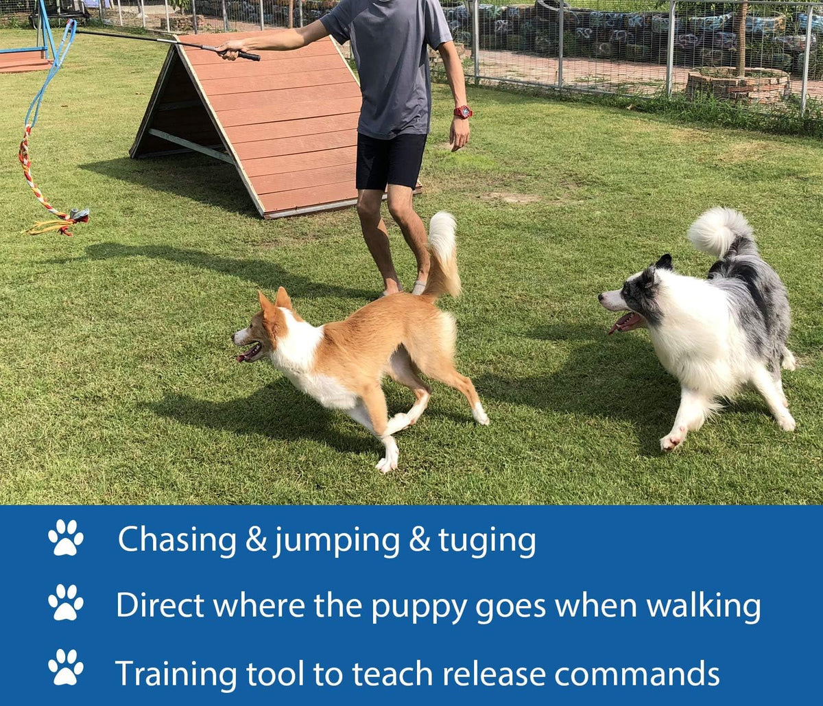 Interactive Flirt Pole Toy for Dogs Chase, Outdoor Exercise - image 3