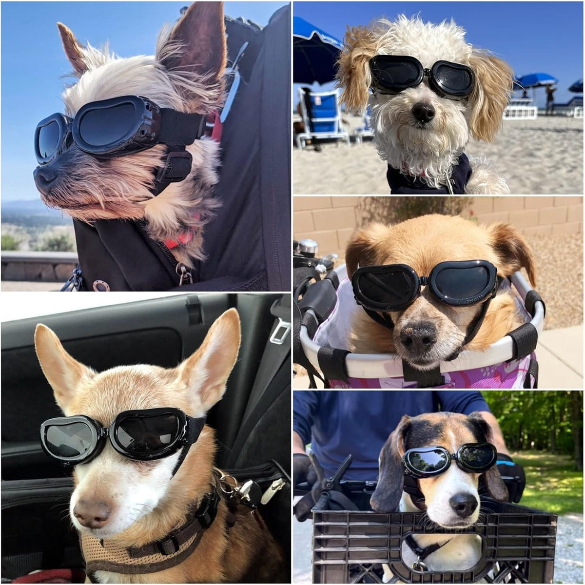 Enjoying Clear Dog Goggles Medium to Large Breed - Classic Black / Small Breeds - image 2