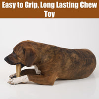 SPOT Bam-Bones Plus T-Bone Dog Chew - Chicken / Medium - image 4