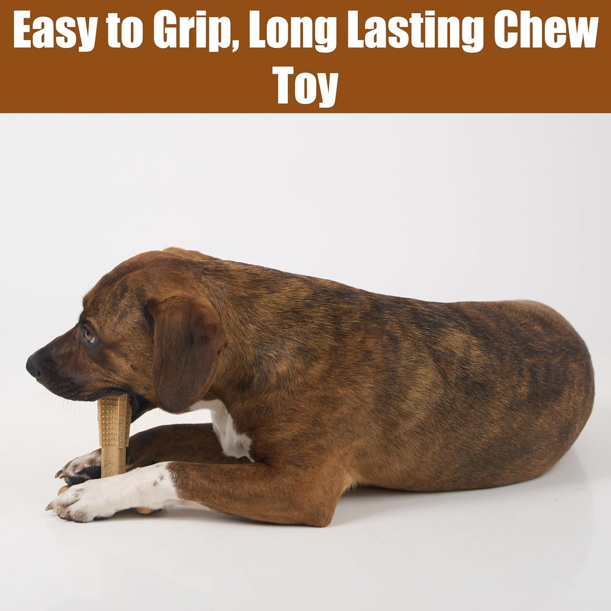 SPOT Bam-Bones Plus T-Bone Dog Chew - Chicken / Medium - image 4