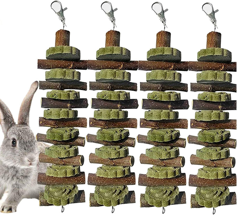 PINVNBY Bunny Chew Toys for Teeth Natural Organic Fruitwood Rabbits - Style-A