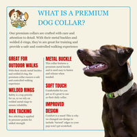 Country Brook Petz - Premium Nylon Dog Collar with Metal Buckle for Small Medium Large Breeds - 30+ - Extra Large (Pack of 1) / Coyote Tan - image 2