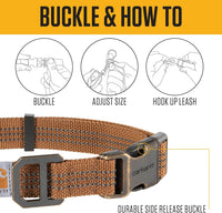 Carhartt Nylon Dog Collar Hunter Orange L – Essentials for Dogs - Shaded Spruce / Medium 12-18"(L) X 3/4"(W) - image 3