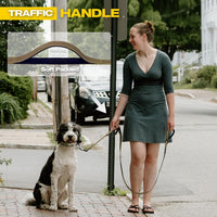 Fida Heavy Duty Dog Leash for Medium Large Dogs - 10 Feet (Pack of 1) / Brown - image 3