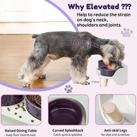 Elevated Slow Feeder Dog Bowls with Splash Proof Stand - Medium / Purple - image 3