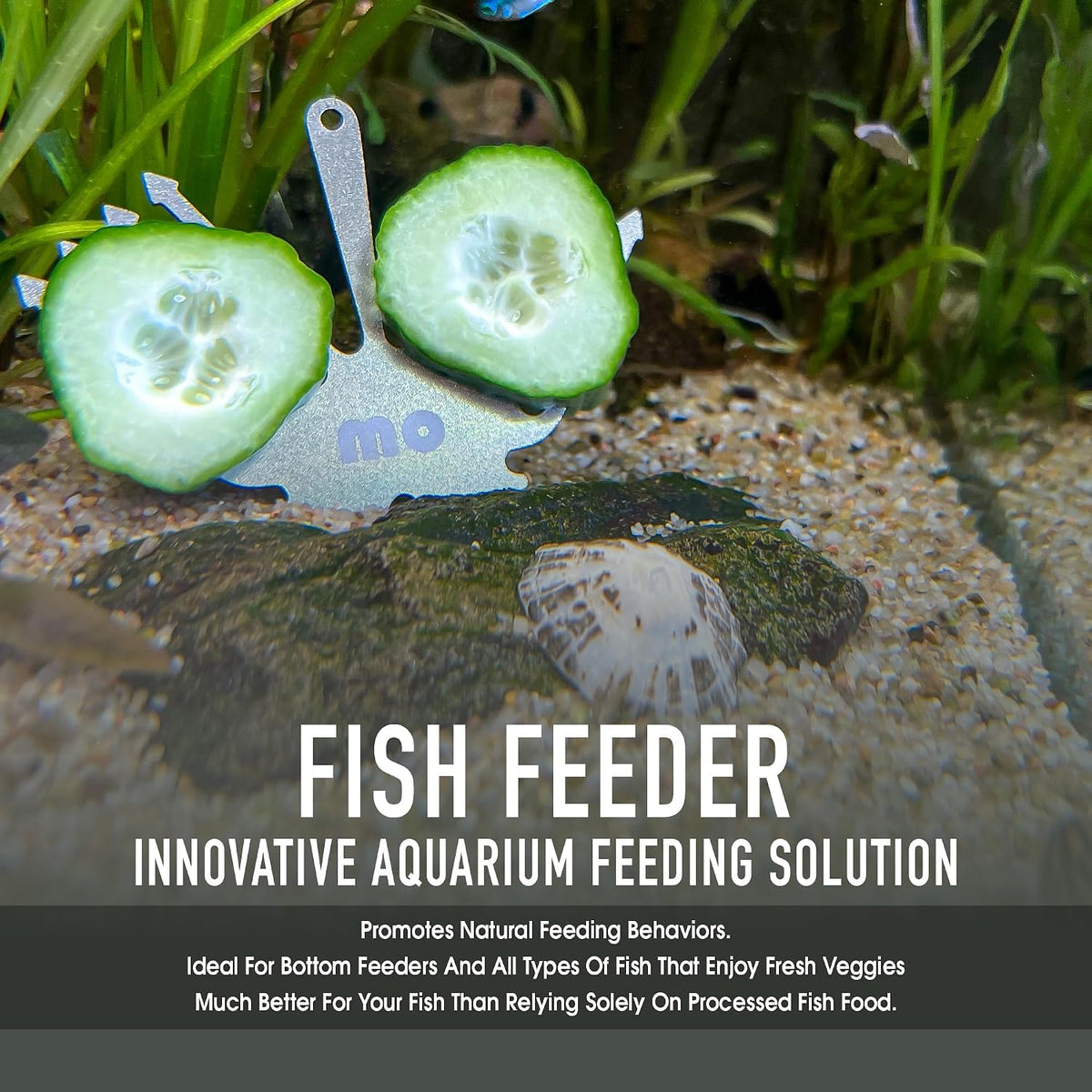 Aquarium Veggie Feeder Cucumber Holder for Pleco & Snails – Essentials for Fish - image 2