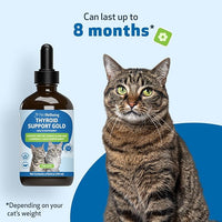 Pet Wellbeing Thyroid Support Gold for Cats - Supports Healthy Thyroid Gland Function in Cats, Normal Metabolism, Bugleweed, Lemon Balm - Veterinarian-Formulated Herbal Supplement 4 fl oz (118 ml)