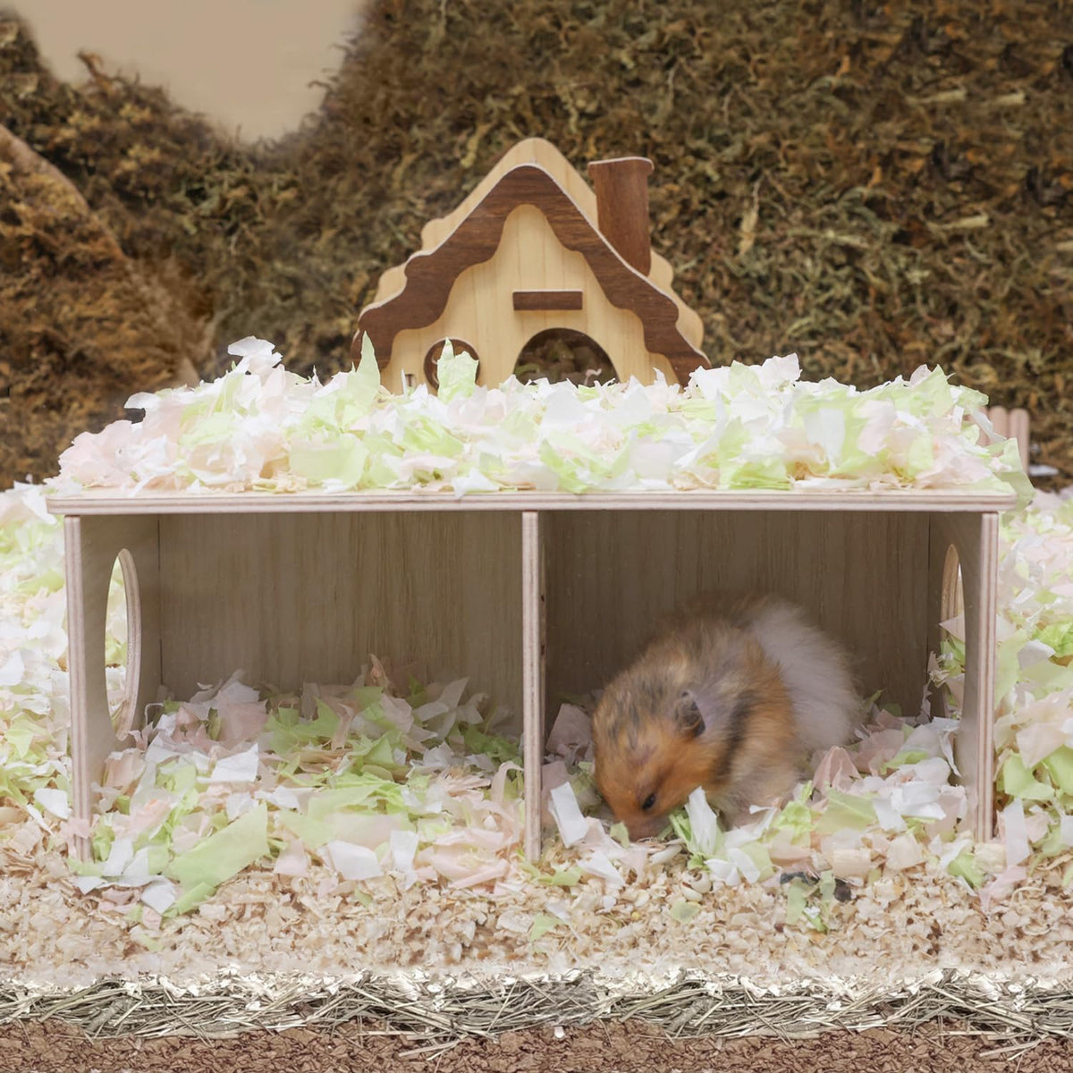 Hamster Peep Tunnel, 2-Chamber Wooden Hamster Hideout - Large for Syrian Hamster - image 2
