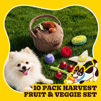 Nocciola Squeaky Bread Stuffed Dog Toys Pack - Fruits - image 2