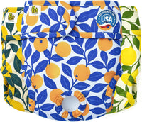 Reusable Washable Dog Diapers - Botanical Fruit / X-Small (10"-12" Waist)