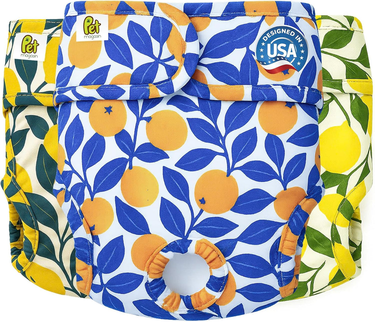 Reusable Washable Dog Diapers - Botanical Fruit / X-Small (10"-12" Waist)