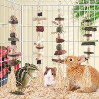 4 Pcs Bunny Chew Toys for Teeth, Hanging Rabbit Chewing Toy Treats with Timothy Grass & Natural Apple Wood, Improve Small Rodent Dental Health for Guinea Pig Hamster Chinchilla Rat Gerbil