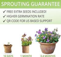 Wildflower Seed Mix Growing Kit - Includes Perennial & Annual Wild Flowers, Burlap Planters, Soil, Wooden Box, and Gardening Tools for Indoor Garden and Patio Planting